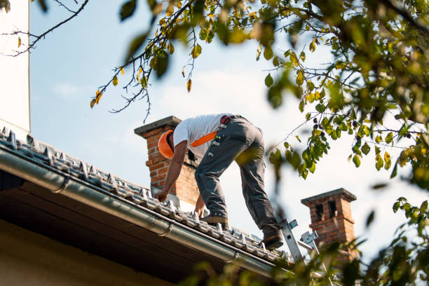 Best Residential Roofing Contractor  in Tioga, ND