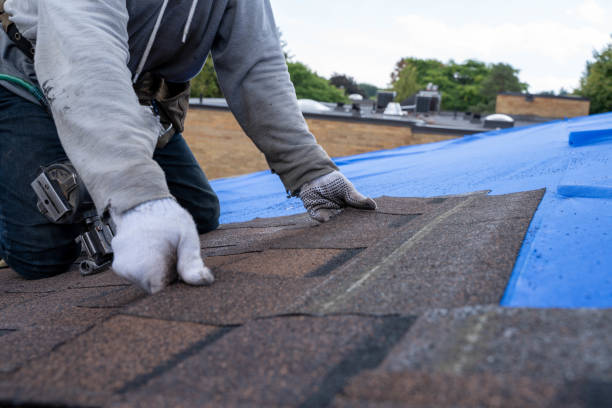 Best Roof Repair Services  in Tioga, ND