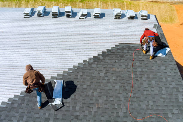 Best Flat Roof Repair Services  in Tioga, ND