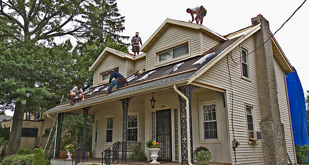 Best Best Roofing Contractors  in Tioga, ND